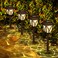 Springwind 8 Pack Solar Lights Outdoor Waterproof Garden Lights with Warm LED Light Landscape Lighting for Yard Patio Lawn Walkway Driveway