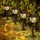 Springwind 8 Pack Solar Lights Outdoor Waterproof Garden Lights with Warm LED Light Landscape Lighting for Yard Patio Lawn Walkway Driveway