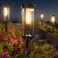 BITPOTT Bright Solar Pathway Lights Outdoor 8 Pack Solar Powered Garden Lights Waterproof IP65 Auto OnOff Outdoor Light for Lawn Patio Walkway Driveway Decor Landscape Lighting