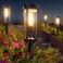 BITPOTT Bright Solar Pathway Lights Outdoor 8 Pack Solar Powered Garden Lights Waterproof IP65 Auto OnOff Outdoor Light for Lawn Patio Walkway Driveway Decor Landscape Lighting