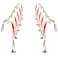 GAGALIFE Candy Cane Lights 10 Pack Candy Cane Pathway Lights 10 Christmas Candy Cane Lights Outdoor Candy Cane Decor for Walkway Driveway Sidewalk Garden Yard Xmas Path Lights with Stakes