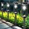 COXSENI Solar Pathway Lights Outdoor 6 Pack Bright Solar Path Lights Outside Waterproof Solar Powered Landscape Light for Walkway Driveway Lawn Patio Sidewalk Garden Yard Cool White