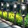 COXSENI Solar Pathway Lights Outdoor 6 Pack Bright Solar Path Lights Outside Waterproof Solar Powered Landscape Light for Walkway Driveway Lawn Patio Sidewalk Garden Yard Cool White