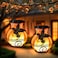 X-PREK 2 Pack Solar Lanterns Outdoor Waterproof Flickering Flame Lights Hummingbird Metal Hanging Solar Lantern Patio Porch Garden Decoration