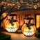 X-PREK 2 Pack Solar Lanterns Outdoor Waterproof Flickering Flame Lights Hummingbird Metal Hanging Solar Lantern Patio Porch Garden Decoration