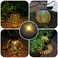 Suggant 4 Pack Solar Light Replacement Top Replacement Solar Light Parts for Lantern Top 323 Inch Bottom 283 Inch Waterproof LED Replacement for Outdoor Garden Pathway Yard Lights Decor