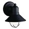 Kichler Seaside 75 1 Light Outdoor Wall Light with Glass Globe Black
