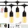EIKOSON 50FT Outdoor String Lights Waterproof with 302 Bulbs 15FT Bulbs Spacing Remote Dimmer Commercial Grade Patio Lights with 3 Mode Light Timing100PC Ties for Outside
