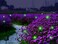 Wskvlcg Solar Powered Firefly Lights 9 LED Automated Pulsating String Chasing Firefly Lights Lantern Solar Outdoor Waterproof 2 Pack