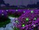 Wskvlcg Solar Powered Firefly Lights 9 LED Automated Pulsating String Chasing Firefly Lights Lantern Solar Outdoor Waterproof 2 Pack