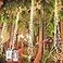 SHUKAN 2 Pack 220 LED Firefly Bunch Lights Battery Operated 8 Flashing Modes Waterproof Copper Wire Waterfall Lights Remote Controlled Timer and Hooks Fairy Lights for Indoor Outdoor Decor Warm White