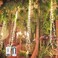 SHUKAN 2 Pack 220 LED Firefly Bunch Lights Battery Operated 8 Flashing Modes Waterproof Copper Wire Waterfall Lights Remote Controlled Timer and Hooks Fairy Lights for Indoor Outdoor Decor Warm White