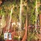 SHUKAN 2 Pack 220 LED Firefly Bunch Lights Battery Operated 8 Flashing Modes Waterproof Copper Wire Waterfall Lights Remote Controlled Timer and Hooks Fairy Lights for Indoor Outdoor Decor Warm White