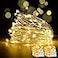 YoTelim LED Fairy String Lights with Remote Control 2 Set 100 LED 33ft10m Micro Silver Wire Indoor Battery Operated LED String Lights for Garden Home Party Wedding Festival DecorationsWarm White