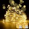 YoTelim LED Fairy String Lights with Remote Control 2 Set 100 LED 33ft10m Micro Silver Wire Indoor Battery Operated LED String Lights for Garden Home Party Wedding Festival DecorationsWarm White
