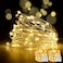 YoTelim LED Fairy String Lights with Remote Control 2 Set 100 LED 33ft10m Micro Silver Wire Indoor Battery Operated LED String Lights for Garden Home Party Wedding Festival DecorationsWarm White