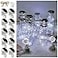 NiniTe LIGHTS Solar Wine Bottle Lights 10 Pack Diamond Cork Lights 20 LED Outdoor Waterproof Fairy String Lights for Garden Wedding PatioCool White