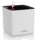 Lechuza Cube Color 14 White SelfWatering Indoor Small Plant Pot H55 L55 W55 in