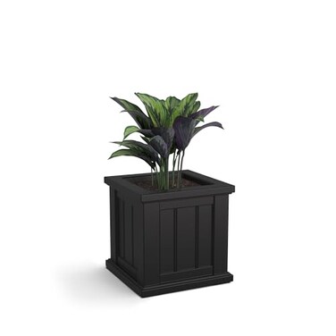 Mayne Cape Cod 14Inch Square Planter SelfWatering WeatherResistant Planter for Flowers Durable Outdoor Design for Patio Porch or Entryway