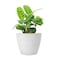 LA JOLIE MUSE Outdoor Planters Indoor Flower Pots 94 Inch Planter Pot Containers White Plant PotsHoneycomb