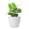 LA JOLIE MUSE Outdoor Planters Indoor Flower Pots 94 Inch Planter Pot Containers White Plant PotsHoneycomb