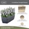 Classic HomeGarden Classic Home and Garden Corinthian Trough Planter 10 Ivory Ash