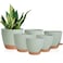 Vanslogreen Planters for Indoor Plants 87656555 Inch Self Watering Planters with Drainage Hole Plastic Planters Flower Pots for Indoor Outdoor Plants Green