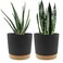 QCQHDU 8 inch Plant Pot 2 Pack Planters for Indoor Plants with Drainage Holes Saucer Outdoor Flower Pots Home Garden Modern Decor
