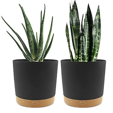 QCQHDU 8 inch Plant Pot 2 Pack Planters for Indoor Plants with Drainage Holes Saucer Outdoor Flower Pots Home Garden Modern Decor