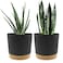 QCQHDU 8 inch Plant Pot 2 Pack Planters for Indoor Plants with Drainage Holes Saucer Outdoor Flower Pots Home Garden Modern Decor