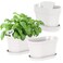 Oliz Windowsill Garden Pots White Plastic Flower Pots with Drainage Tray for Herb Succulents African Violet Pack of 6