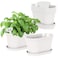 Oliz Windowsill Garden Pots White Plastic Flower Pots with Drainage Tray for Herb Succulents African Violet Pack of 6