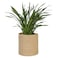 MEGASKET Woven Jute Plant Basket Wicker Basket Planter for 10 inch Pot Round Indoor Tree Pot Cover Small Boho Storage Bin Organizer Rustic Baskets for Plants and Home Decor 11X11