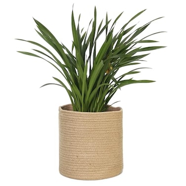 MEGASKET Woven Jute Plant Basket Wicker Basket Planter for 10 inch Pot Round Indoor Tree Pot Cover Small Boho Storage Bin Organizer Rustic Baskets for Plants and Home Decor 11X11