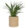 MEGASKET Woven Jute Plant Basket Wicker Basket Planter for 10 inch Pot Round Indoor Tree Pot Cover Small Boho Storage Bin Organizer Rustic Baskets for Plants and Home Decor 11X11