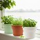 Pottiffe 8 Inch PlasticFlower PotforIndoor Plants 4 Pack Large Outdoor Planter Pot with Drainage Holes Saucers Resin Decorative Garden Pots Planters