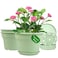 Pottiffe 8 Inch PlasticFlower PotforIndoor Plants 4 Pack Large Outdoor Planter Pot with Drainage Holes Saucers Resin Decorative Garden Pots Planters