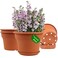 Pottiffe 8 Inch PlasticFlower PotforIndoor Plants 4 Pack Large Outdoor Planter Pot with Drainage Holes Saucers Resin Decorative Garden Pots Planters