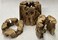 Awesome Industries 3 Natural Cholla Wood Air Plant Display Holders Individually Unique Round Decorative Stands 3 Pack Cholla Rounds