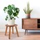 zaowofires Round Solid Wooden Step Stool Garden Stool118HPlant Stool Wood Legs Detachable for Plant Stand Kitchen BathroomBedroomLivingroom Walnut 118inch