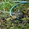 STYDDI Metal Pulsating Sprinkler on inSeries Metal Wheeled Base Adjustable Circular Water Sprinkler for Medium to Large Circular Lawn Yard Garden and Large Areas Coverage up to 6360 Sq ft