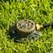 Vego Turret Pattern Sprinkler 9Pattern HeavyDuty Metal Base Up to 1115 sq ft Coverage