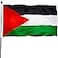 DANF FLAG DANF Palestine Flag 3x5 Ft Thick Polyester Fade Resistant Brass Grommets Canvas Header Palestinian National Flags with 3 X 5 Feet