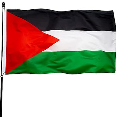 DANF FLAG DANF Palestine Flag 3x5 Ft Thick Polyester Fade Resistant Brass Grommets Canvas Header Palestinian National Flags with 3 X 5 Feet