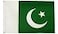 cuttencreat Pakistan Flag 6X10 FT Vivid Color All Weather Double Stitched Pakistani FlagsPolyester Flags with Sturdy Brass Ring 6X10