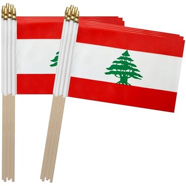TSMD Lebanon Stick Flag Lebanese Republic Small Mini Hand Held Flags5x8 Inch12 Pack