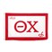 Desert Cactus Theta Chi Fraternity Flag Greek Banner Large 3x5 Feet for Decor Events and Theta Pride Display Chapter