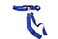 BARNETT FLAG POP Deluxe flags and belts by 10 1by 2 Blue