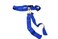 BARNETT FLAG POP Deluxe flags and belts by 10 1by 2 Blue