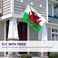Anley Fly Breeze 3x5 Foot Wales Flag Vivid Color and Fade Proof Canvas Header and Double Stitched Welsh National Flags Polyester with Brass Grommets 3 X 5 Ft